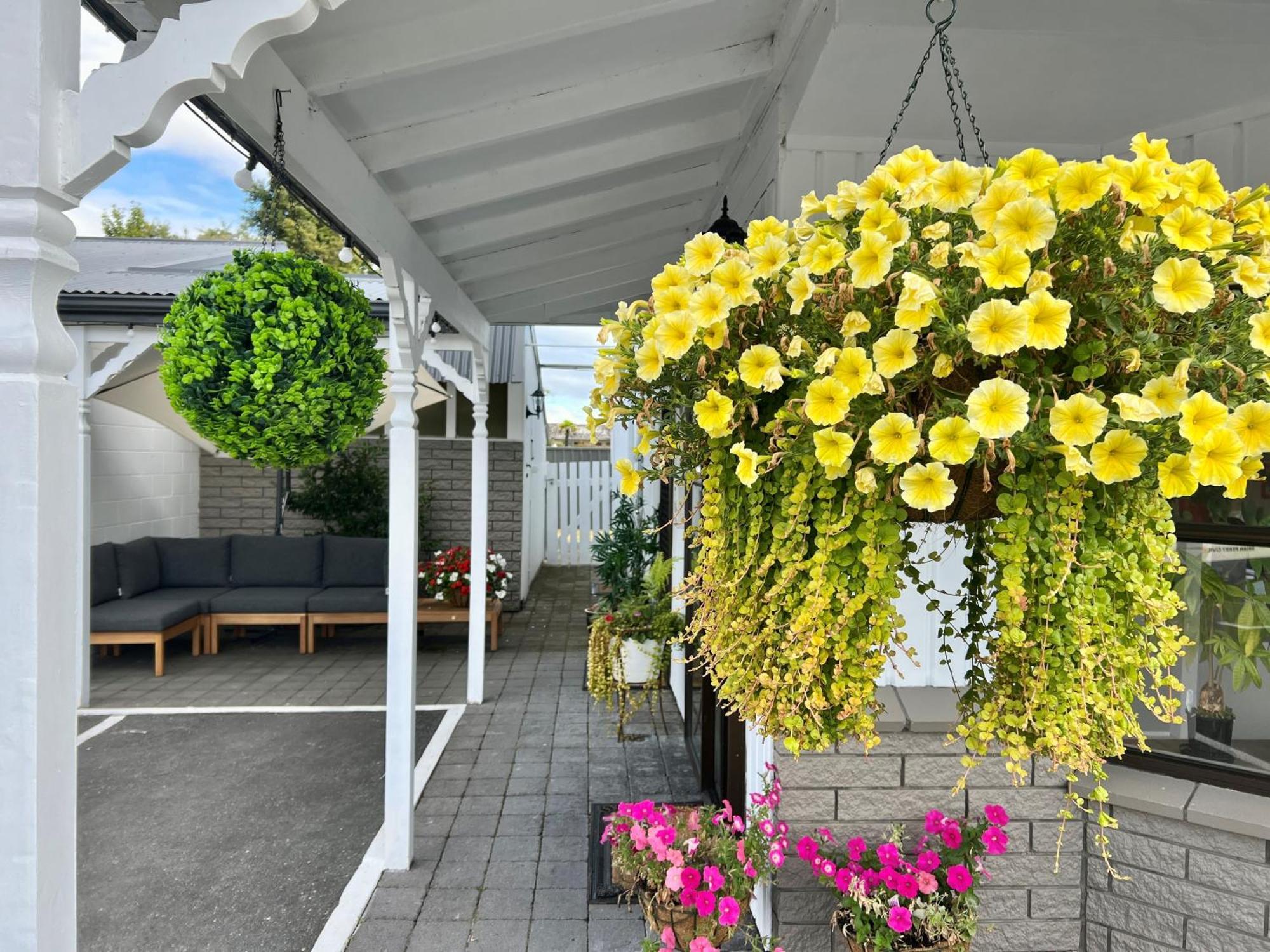 Ashbrook Motel Таупо Экстерьер фото